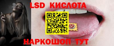 дмт Краснодар