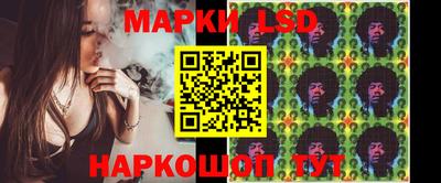 дмт Краснодар