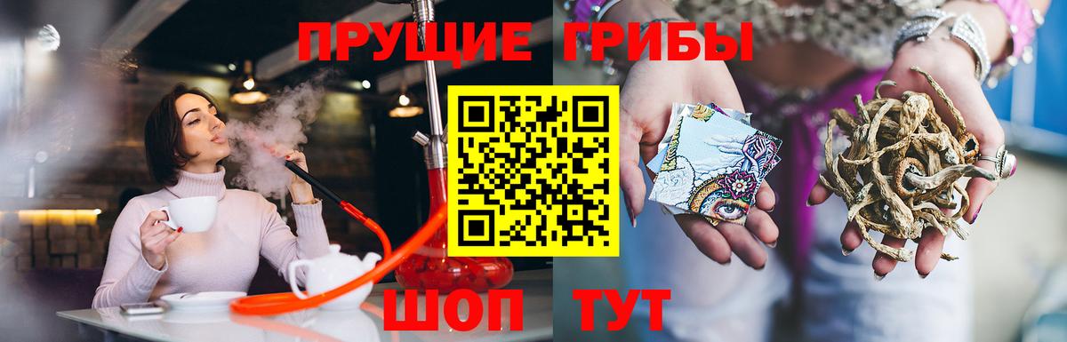 Галлюциногенные грибы Psilocybe Коммунар