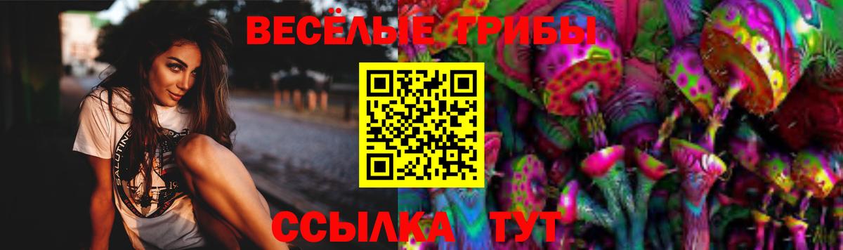 Коммунар  Псилоцибиновые грибы мухоморы  Вход с VPN 
